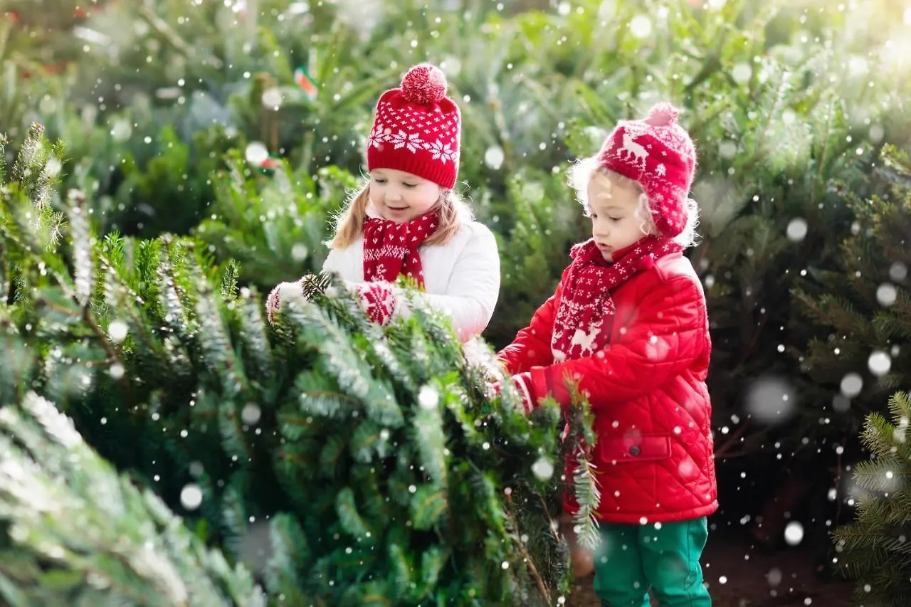 Family Wellhouse Green Garden Direct In Salzburg, Sunny Big Garden, Up To 16 Pax, Bikes For Free, Bbq, Sunbeds, Parking For Free, 15 Min Sound Of Music Salisburgo